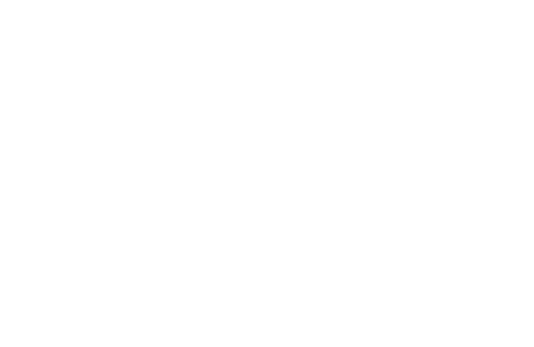 Salvex Logo